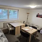 Rent 1 bedroom apartment in Brno