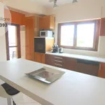 Rent 2 bedroom apartment of 50 m² in L'Aquila