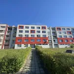 Rent 2 bedroom apartment in Jindřichův Hradec