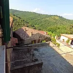 Rent 3 bedroom apartment of 50 m² in Magliano in Toscana