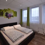 Rent 2 bedroom apartment of 41 m² in Frankfurt