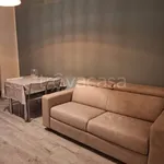 Rent 2 bedroom apartment of 55 m² in Rivoli