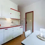 Rent 2 bedroom apartment in Žďár nad Sázavou