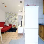 Rent 1 bedroom apartment in madrid