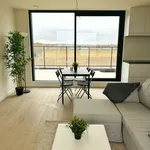 Rent 1 bedroom apartment in Zottegem