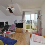 Rent 1 bedroom apartment in Capital City of Prague