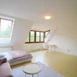 Rent 4 bedroom apartment of 211 m² in celadna