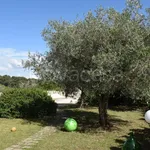 Rent 4 bedroom apartment of 120 m² in Martina Franca