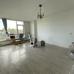 Huur 6 slaapkamer appartement van 80 m² in Utrecht