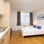 Rent 1 bedroom apartment of 27 m² in Prague