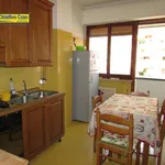 Rent 5 bedroom apartment of 125 m² in Teramo