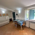 Rent 2 bedroom apartment of 45 m² in Assisi