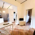 Rent 1 bedroom apartment in rome