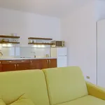 Rent 4 bedroom apartment of 50 m² in Milan