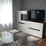 Rent 2 bedroom apartment of 29 m² in Sosnowiec