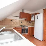 Rent 1 bedroom house of 120 m² in Šenov u Nového Jičína