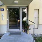 Rent 1 bedroom apartment of 40 m² in Gänserndorf District