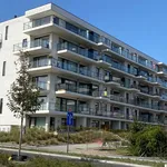 Appartement de 81 m² avec 2 chambre(s) en location à Waregem