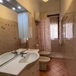 Rent 3 bedroom apartment of 65 m² in Follonica