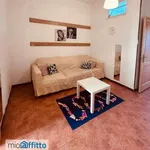 Rent 3 bedroom apartment of 80 m² in Genoa