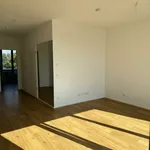 Rent 2 bedroom apartment of 68 m² in Brühl