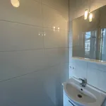 Rent 1 bedroom apartment of 22 m² in Haarlem