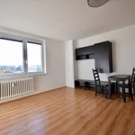 Rent 1 bedroom apartment of 32 m² in Brno