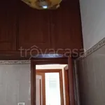 Rent 3 bedroom apartment of 80 m² in Roma