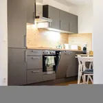 Rent 2 bedroom apartment of 55 m² in Augsburg