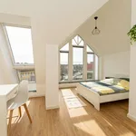 Rent a room of 213 m² in berlin