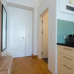 Rent 1 bedroom apartment of 452 m² in vienna