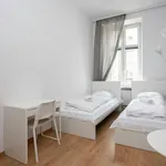 Rent 3 bedroom apartment in Krakow