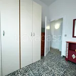 Rent 3 bedroom apartment of 60 m² in Pisa