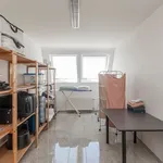 Rent 3 bedroom apartment in Edegem