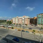 Rent a room in valencia