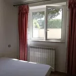 Rent 2 bedroom apartment of 45 m² in Roma