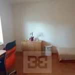 Rent 2 bedroom apartment in České Budějovice