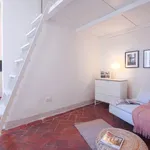 Rent 1 bedroom apartment of 20 m² in Florence