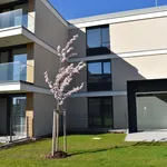 Rent 2 bedroom apartment in Olomouc