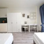 Rent 1 bedroom apartment in Brno