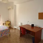 Rent a room in cordoba