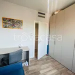 Rent 3 bedroom apartment of 80 m² in Milano