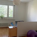 Rent 2 bedroom apartment in Zurich