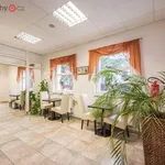 Rent 1 bedroom apartment of 25 m² in Praha