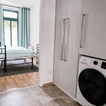 Rent 1 bedroom apartment of 35 m² in Chemnitz