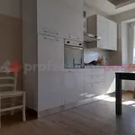 Rent 4 bedroom apartment of 60 m² in Frosinone