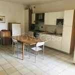 Rent 3 bedroom apartment of 80 m² in Cervia