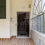 Rent 4 bedroom apartment of 100 m² in Moneglia