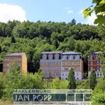 Rent 2 bedroom apartment of 53 m² in Greiz