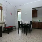 Rent 2 bedroom apartment of 50 m² in Perosa Argentina